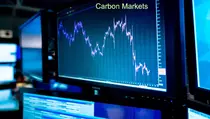 OJK: Modal Bursa Karbon Minimal Rp 100 M, Tidak Boleh Utang