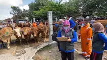 Jelang Iduladha, Harga Kambing di Blitar Naik, Sapi Malah Terjangkit LSD