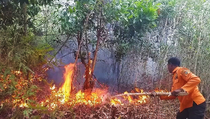 Kebakaran Lahan Gambut di Kalteng, Petugas Kewalahan Padamkan Api
