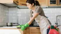 5 Cara Membasmi Hama di Dapur dengan Mudah dan Aman