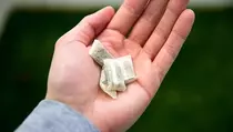 Genjot Tren Global, Sixhil dan China Tobacco Kembangkan Tembakau Tanpa Asap