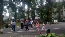 Viral Warga Protes Tarif Tiket Kebun Raya Bogor, Ini Penjelasan Pengelola