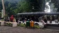 Akhir Pekan, 7.000 Pengunjung Liburan di Kebun Raya Bogor