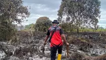 Kebakaran Lahan Gambut di Penajam Belum Bisa Dipadamkan