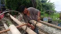 Pedagang Pohon Pinang di Kota Medan Kebanjiran Pesanan