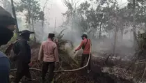 Kebakaran Lahan Gambut di Kubu Raya Meluas hingga 6 Kecamatan