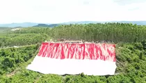 TNI Kibarkan Bendera Merah Putih Raksasa di Puncak Bukit Tertinggi IKN