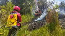 Kebakaran Hutan Landa Kawasan Taman Nasional Bromo Tengger Semeru