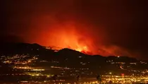 Kebakaran Hutan di Tenerife Makin Parah, Puluhan Ribu Penduduk Dievakuasi