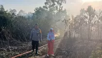 2 Hari, Kebakaran Hutan di Balikpapan Belum Juga Padam