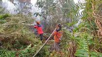 BMKG: Masyarakat Kalimantan Harus Waspadai Kebakaran Hutan dan Lahan