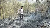Polres Malang Kejar Pemicu Kebakaran Hutan di Lereng Gunung Arjuna