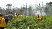 1,5 Hektare Lahan Gambut di Samarinda Ludes Terbakar
