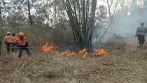 Kawasan Hutan Zona Tradisional Lereng Gunung Merapi Terbakar