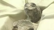 Temuan Mumi Alien di Peru Dipastikan Buatan dari Tulang Manusia dan Hewan