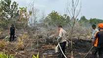 Mampu Tekan Pertumbuhan Titik Panas, Penanganan Karhutla di Sumsel Diapresiasi