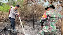 787 Hotspot Karhutla Terdeteksi di Sumatera, Sumsel Masih Tertinggi