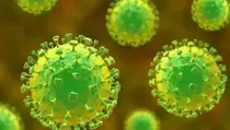 5 Fakta Virus West Nile yang Banyak Telan Korban di Israel