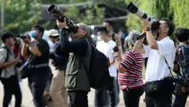 Hari Cinta Puspa dan Satwa Nasional, Kehati dan PFI Jakarta Gelar Lomba Foto