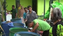 Kekeringan, Warga Serbu Pembagian Air Bersih Gratis di Kota Balikpapan