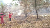 Karhutla di Sumsel Terluas di Sumatra, Bengkulu Terkecil