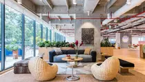 Jatuh Bangun WeWork, Startup yang Dahulunya Bernilai Rp 740 T Kini Bangkrut