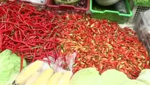 Stok Menipis, Harga Cabai Rawit di Majene Tembus Rp 180.000 Per Kilogram