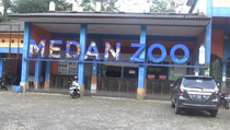 Harimau Mati, Wali Kota Bobby Gaet RANS untuk Perbaiki Pengelolaan Medan Zoo&nbsp;
