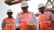 Bulog Impor 500.000 Ton&nbsp;Jagung Pakan untuk Stabilkan Harga di Peternak