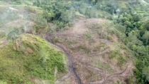 Penebangan Liar di Kawasan Danau Toba Diduga Penyebab Banjir Humbahas