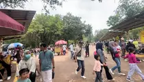Jumlah Wisatawan ke Ragunan Saat Nataru Meningkat Tajam, Spot Satwa Ini Jadi Favorit