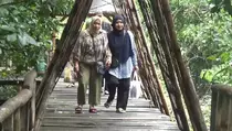 Libur Panjang, Wisata Alam Hutan Mangrove Wonorejo Surabaya Dipadati Pengunjung