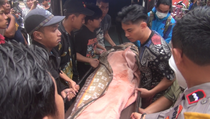 Jenazah Petugas KPPS Meninggal di Makassar Disambut Isak Tangis Keluarga dan Kerabat di Rumah Duka