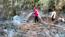 BMKG Deteksi 102 Titik Panas di Kalimantan Timur
