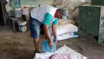 Petani Subang Keluhkan Kelangkaan Pupuk Bersubsidi