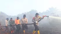 20 Hektare Lahan Gambut di Pelalawan Riau Terbakar