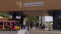 4.000 Pengunjung Padati Taman Burung TMII pada Hari Kedua Lebaran