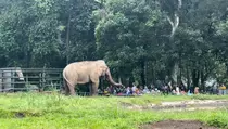 Libur Panjang Maulid Nabi, Warga Serbu Taman Satwa Ragunan
