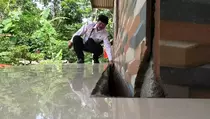 Tanah Bergerak Landa Wonosobo, 6 Rumah Rusak Parah