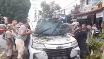 Video: Mobil Tertimpa Pohon Saat melintas