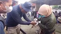 Jelang Iduladha, Petugas Kesehatan Hewan di Purbalingga Gelar Pengobatan Massal Hewan Kurban