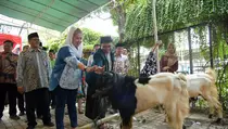 Wali Kota Semarang Imbau Masyarakat Tidak Gunakan Plastik Sekali Pakai untuk Wadah Daging