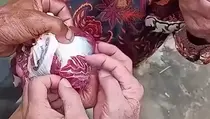 Viral Daging Kurban Berlafazkan Allah di Palembang