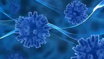 8 Cara Pengobatan dan Pencegahan Virus West Nile