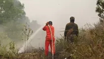 BMKG Deteksi Hotspot Karhutla di 3 Kabupaten Riau