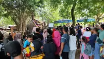 Pengunjung ke Semarang Zoo Tembus 4.000 Orang di Musim Libur Sekolah