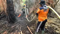 BMKG Deteksi 87 Hotspot Karhutla di Sumatera, Riau 7 Titik
