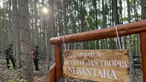 Gara-gara IKN, Ekonomi Kreatif dan Pariwisata di Kaltim Meningkat Drastis