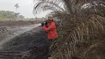 BMKG Deteksi 68 Hot Spot Karhutla di Riau, Terbanyak di Rokan Hilir