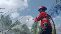 BPBD Catat Penambahan 10,2 Hektare Lahan Terbakar Akibat Karhutla di Riau